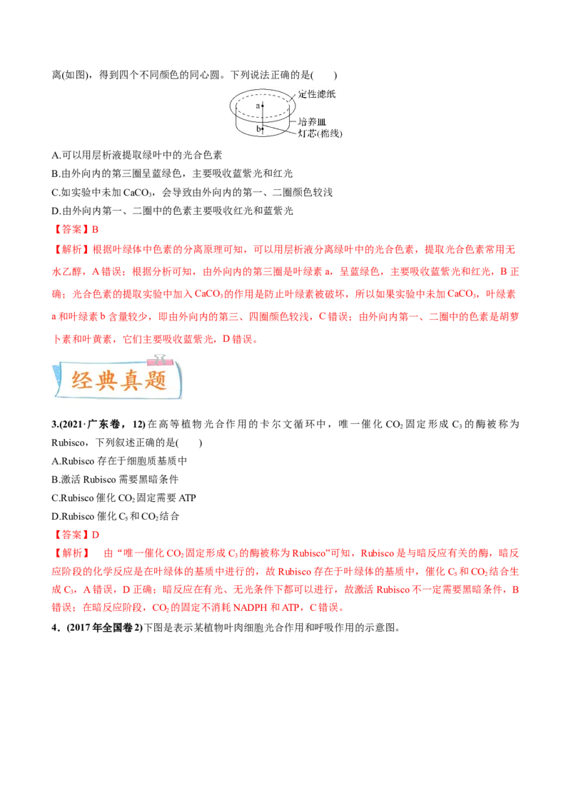 考向06光合作用与能量转换-备战2023年高考生物一轮复习考点微专题（全国通用）（解析版）(1)_通用版（老高考）复习资料_2023年复习资料_一轮复习