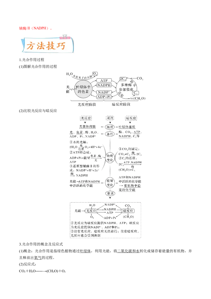 考向06光合作用与能量转换-备战2023年高考生物一轮复习考点微专题（全国通用）（解析版）(1)_通用版（老高考）复习资料_2023年复习资料_一轮复习