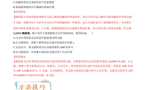 考向06光合作用与能量转换-备战2023年高考生物一轮复习考点微专题（全国通用）（解析版）(1)_通用版（老高考）复习资料_2023年复习资料_一轮复习