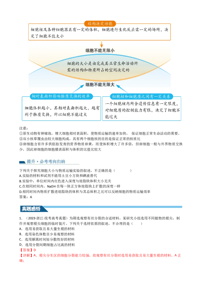 第12讲细胞的增殖（讲义）（教师版）_新高考复习资料_2024年新高考复习资料_一轮复习资料_完2024年高考生物一轮复习讲练测(课件+讲义+练习)（新高考）_讲义+练习