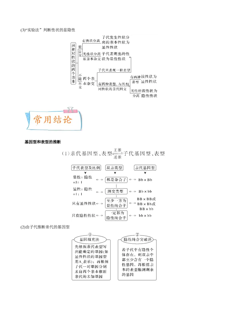 考向09基因的分离定律-备战2023年高考生物一轮复习考点微专题（全国通用）（原卷版）_通用版（老高考）复习资料_2023年复习资料_一轮复习