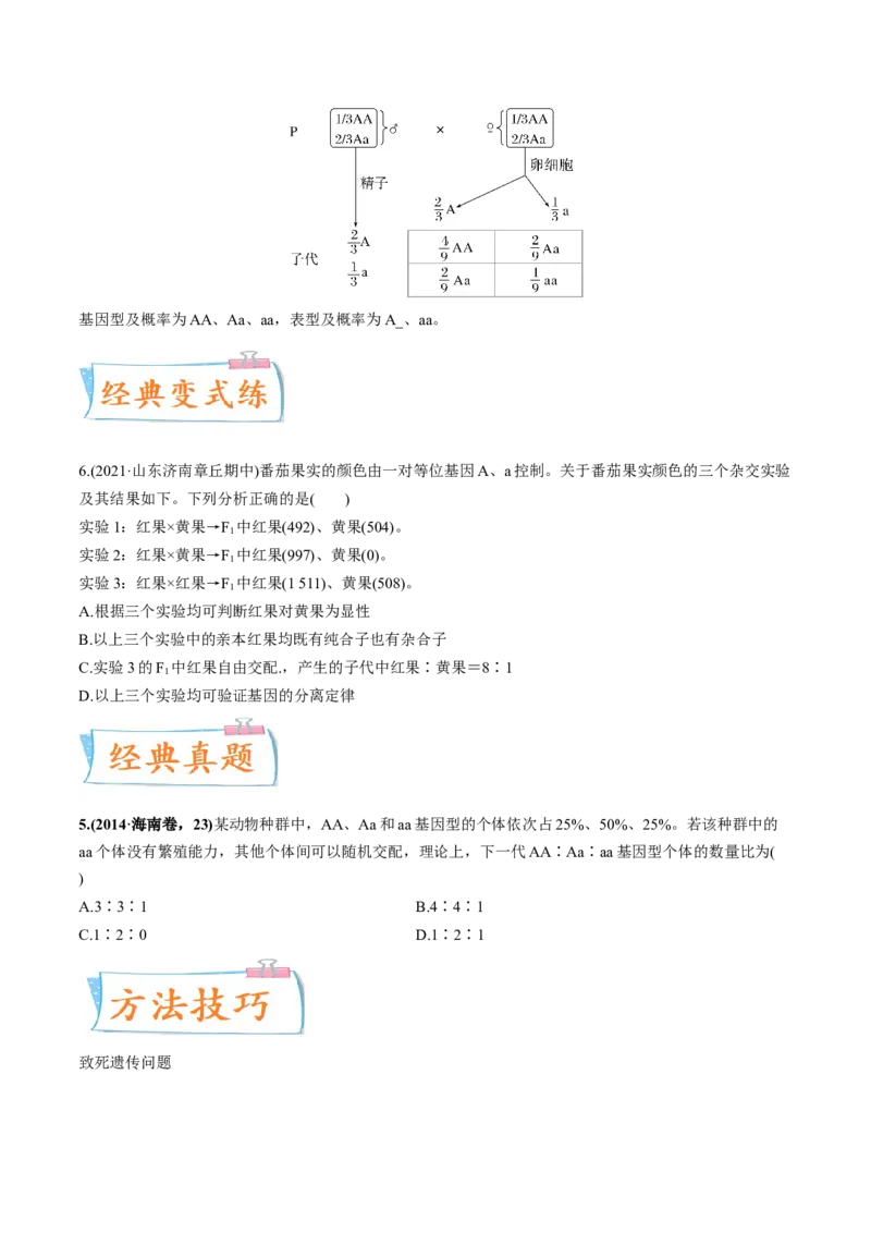 考向09基因的分离定律-备战2023年高考生物一轮复习考点微专题（全国通用）（原卷版）_通用版（老高考）复习资料_2023年复习资料_一轮复习