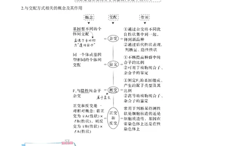 考向09基因的分离定律-备战2023年高考生物一轮复习考点微专题（全国通用）（原卷版）_通用版（老高考）复习资料_2023年复习资料_一轮复习