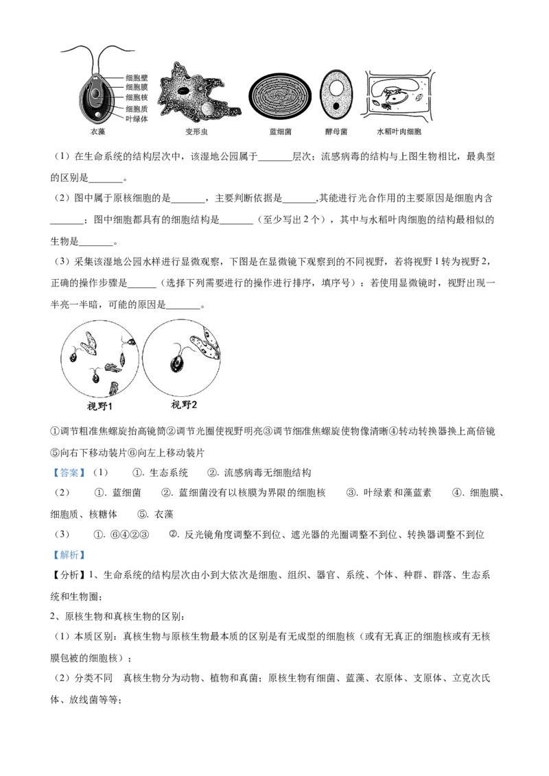 江西省抚州市2024-2025学年高一上学期期末考试生物试卷Word版含解析_2025年03月试卷_0323江西省抚州市2024-2025学年高一上学期期末考试