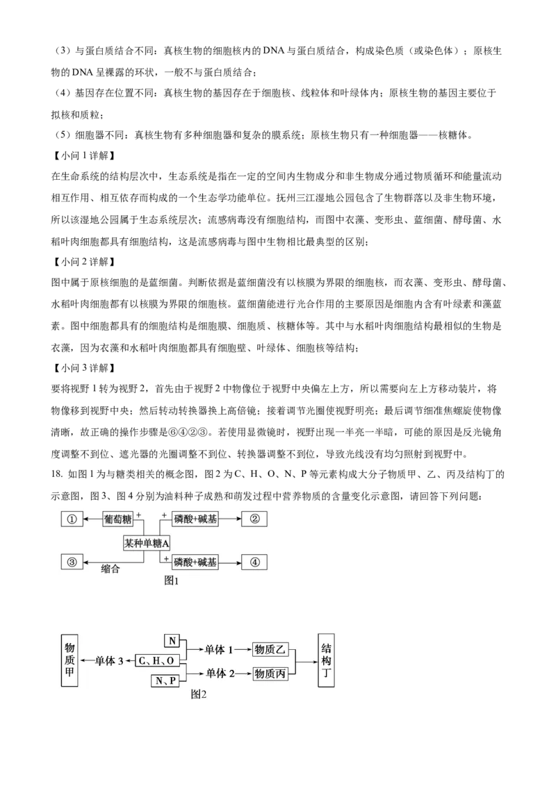 江西省抚州市2024-2025学年高一上学期期末考试生物试卷Word版含解析_2025年03月试卷_0323江西省抚州市2024-2025学年高一上学期期末考试