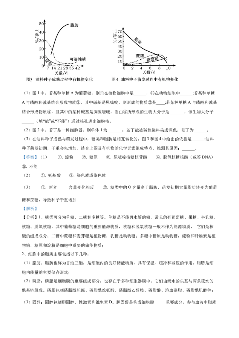 江西省抚州市2024-2025学年高一上学期期末考试生物试卷Word版含解析_2025年03月试卷_0323江西省抚州市2024-2025学年高一上学期期末考试
