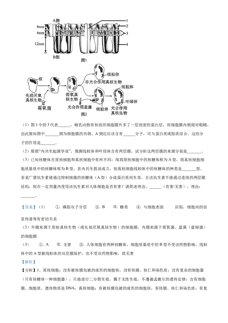 江西省抚州市2024-2025学年高一上学期期末考试生物试卷Word版含解析_2025年03月试卷_0323江西省抚州市2024-2025学年高一上学期期末考试