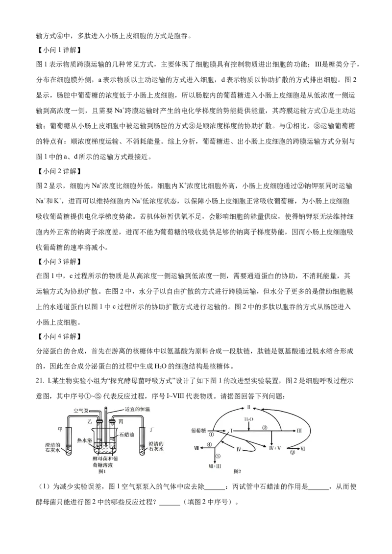 江西省抚州市2024-2025学年高一上学期期末考试生物试卷Word版含解析_2025年03月试卷_0323江西省抚州市2024-2025学年高一上学期期末考试