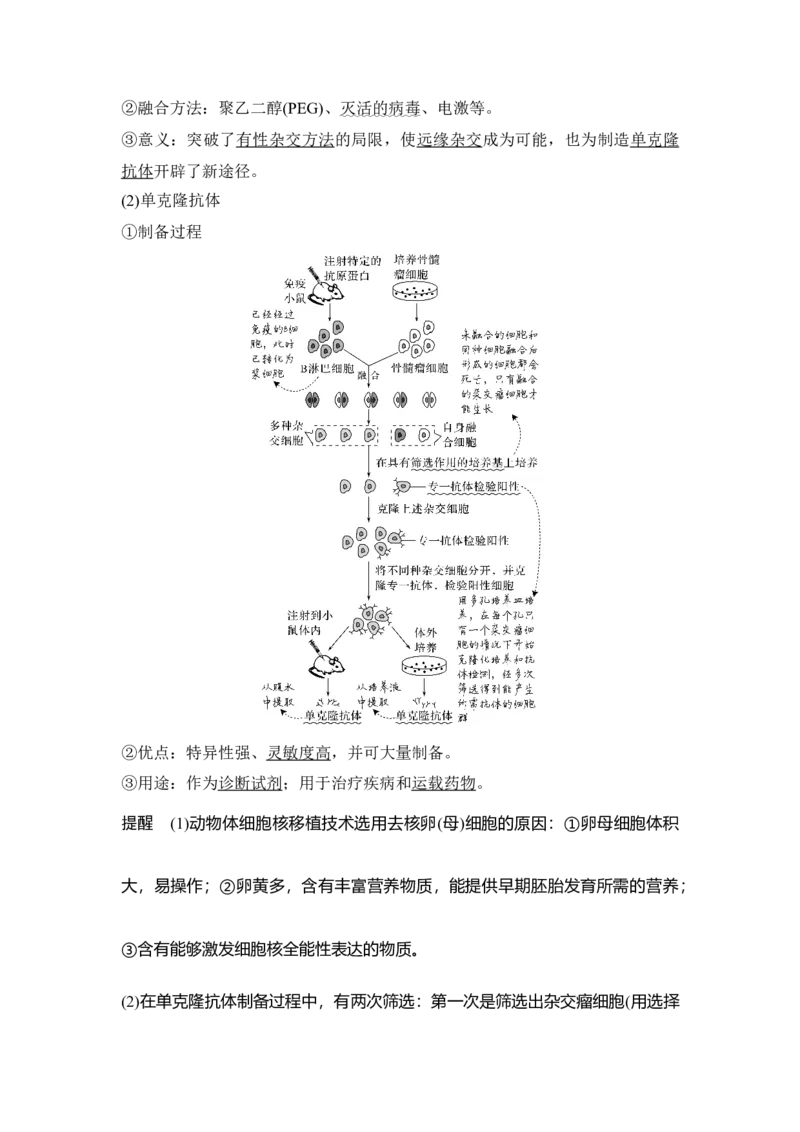 第32讲细胞工程_通用版（老高考）复习资料_2023年复习资料_一轮复习_2023年高考生物一轮复习讲义+课件（全国版）_2023年高考生物一轮复习讲义（全国版）_赠补充习题
