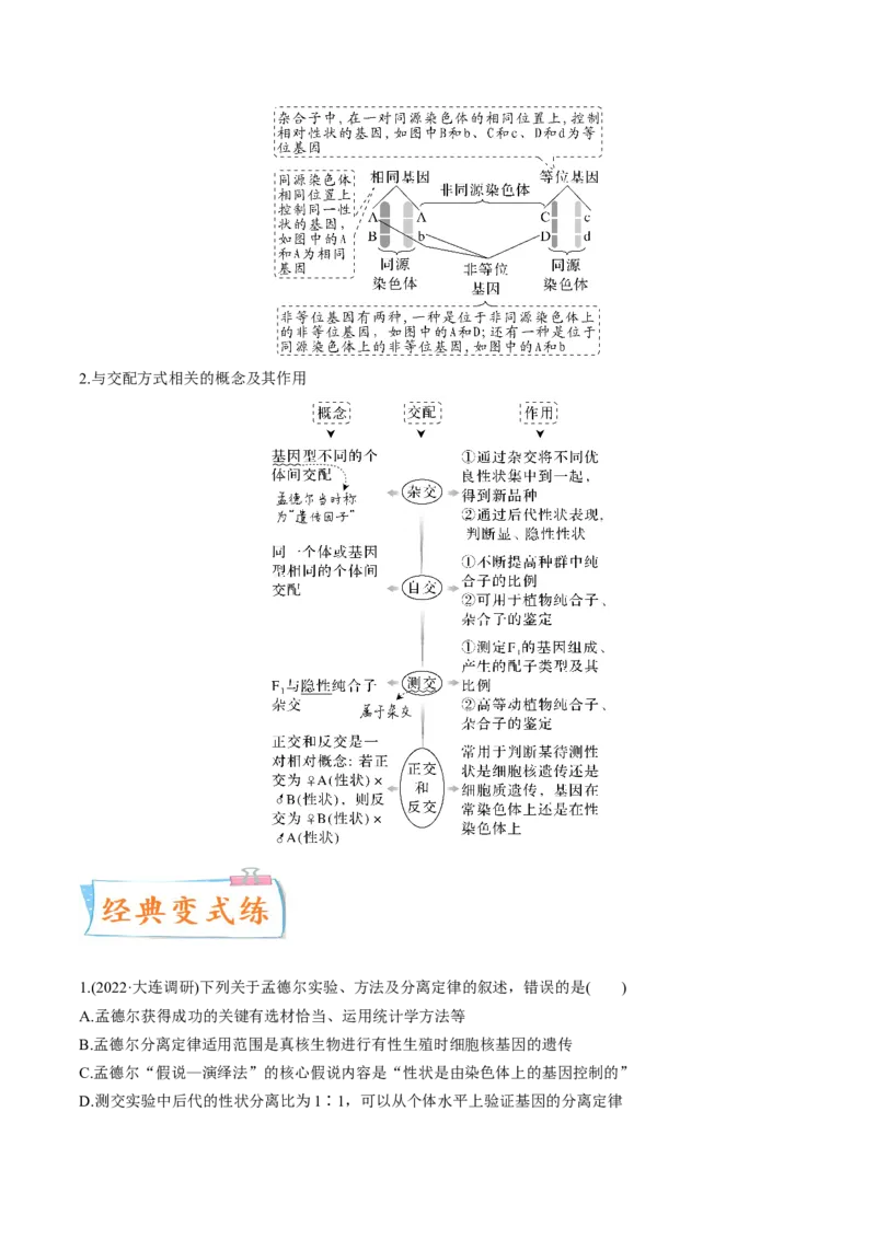 考向09基因的分离定律-备战2023年高考生物一轮复习考点微专题（全国通用）（原卷版）(1)_通用版（老高考）复习资料_2023年复习资料_一轮复习