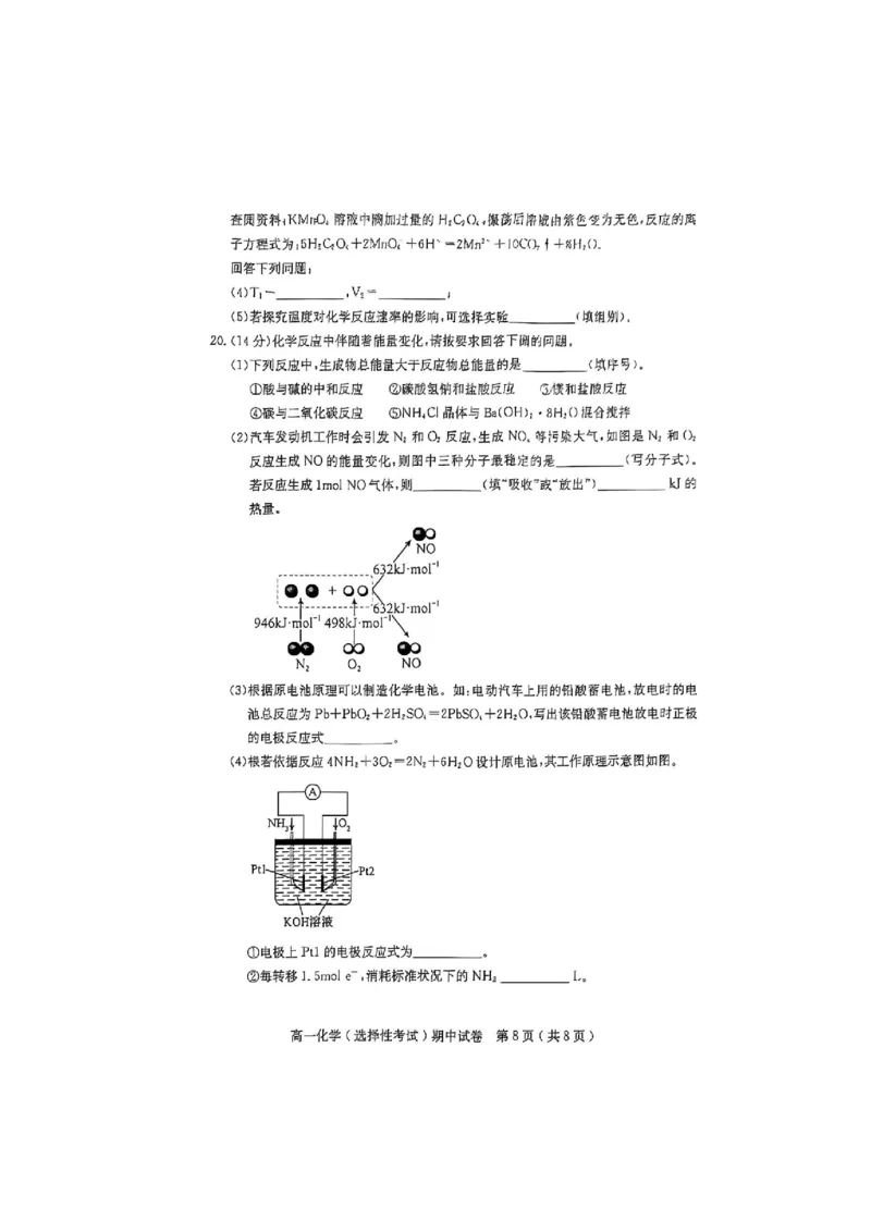 广东省茂名市电白区2024--2025学年度第二学期高一年级化学期中考试_2025年05月试卷_0519广东省茂名市电白区2024-2025学年高一下学期期中考试