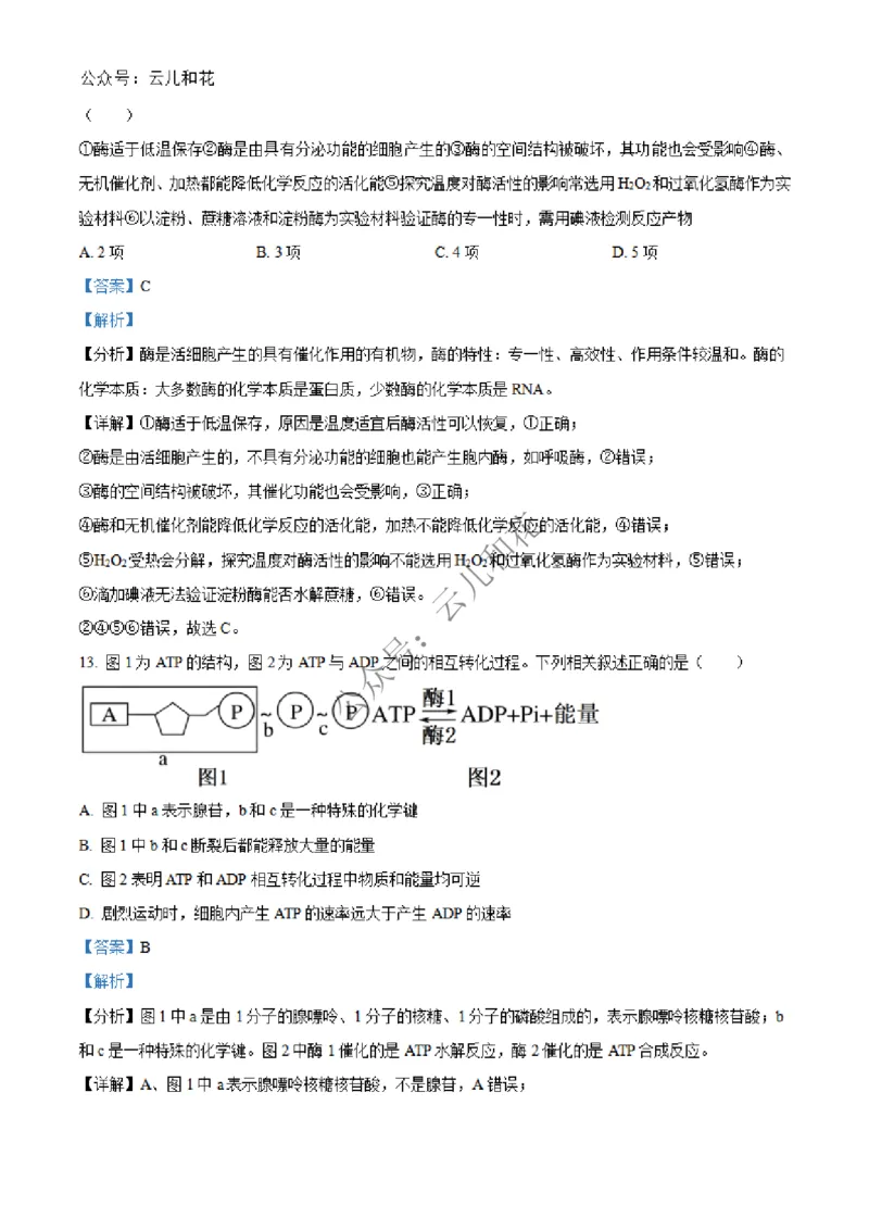 河北省沧州市四县联考2024-2025学年高一上学期11月月考生物试题Word版含解析_2024年12月试卷_1227河北省沧州四县联考2024-2025学年高一上学期11月月考