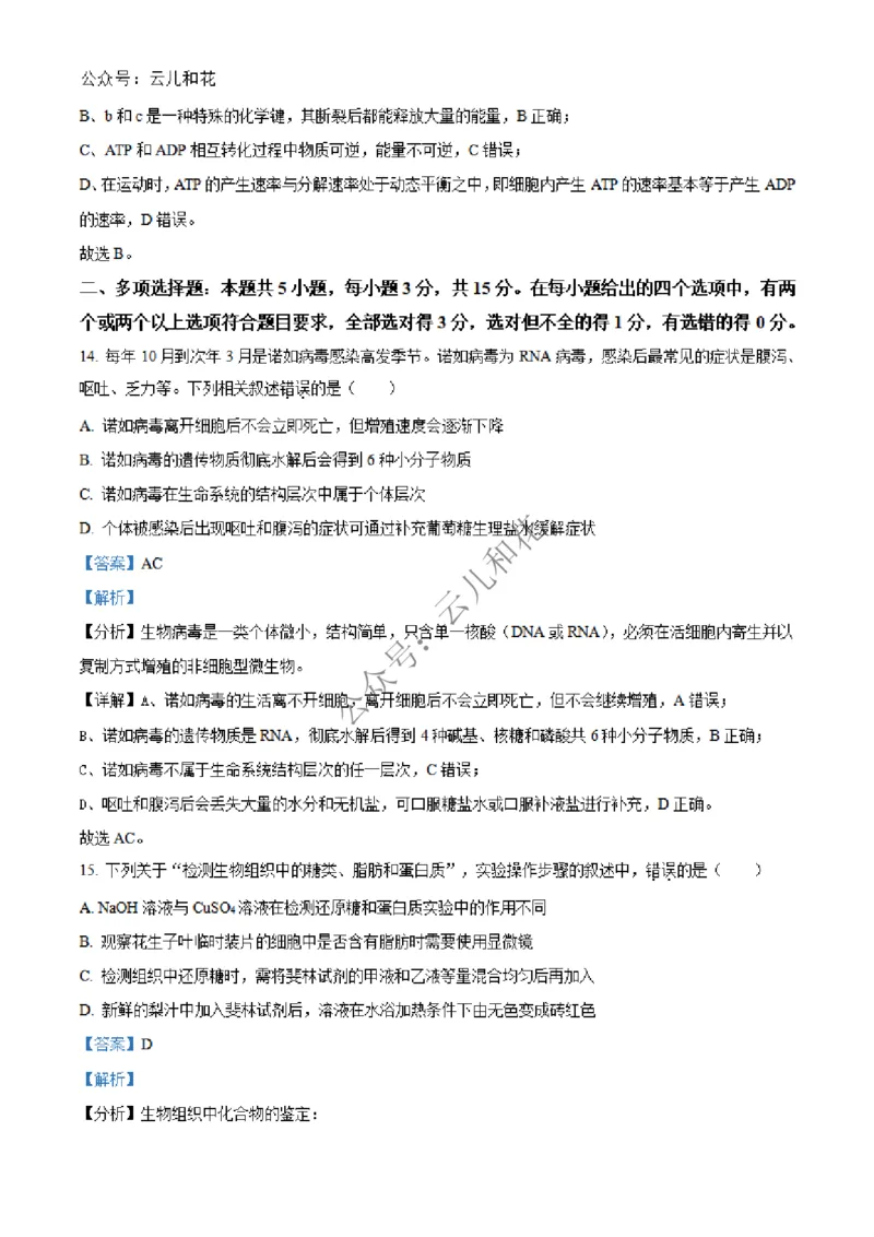 河北省沧州市四县联考2024-2025学年高一上学期11月月考生物试题Word版含解析_2024年12月试卷_1227河北省沧州四县联考2024-2025学年高一上学期11月月考