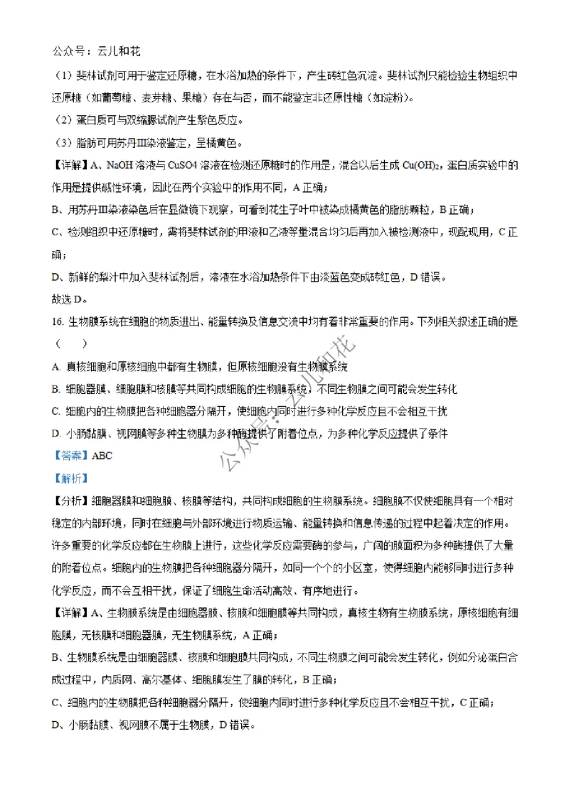 河北省沧州市四县联考2024-2025学年高一上学期11月月考生物试题Word版含解析_2024年12月试卷_1227河北省沧州四县联考2024-2025学年高一上学期11月月考