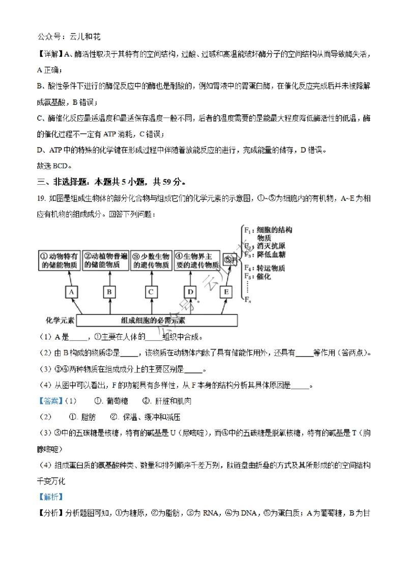 河北省沧州市四县联考2024-2025学年高一上学期11月月考生物试题Word版含解析_2024年12月试卷_1227河北省沧州四县联考2024-2025学年高一上学期11月月考
