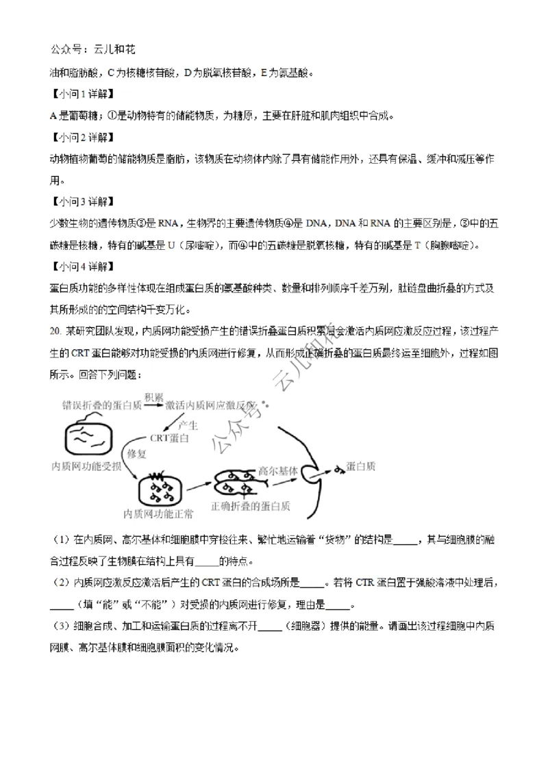 河北省沧州市四县联考2024-2025学年高一上学期11月月考生物试题Word版含解析_2024年12月试卷_1227河北省沧州四县联考2024-2025学年高一上学期11月月考