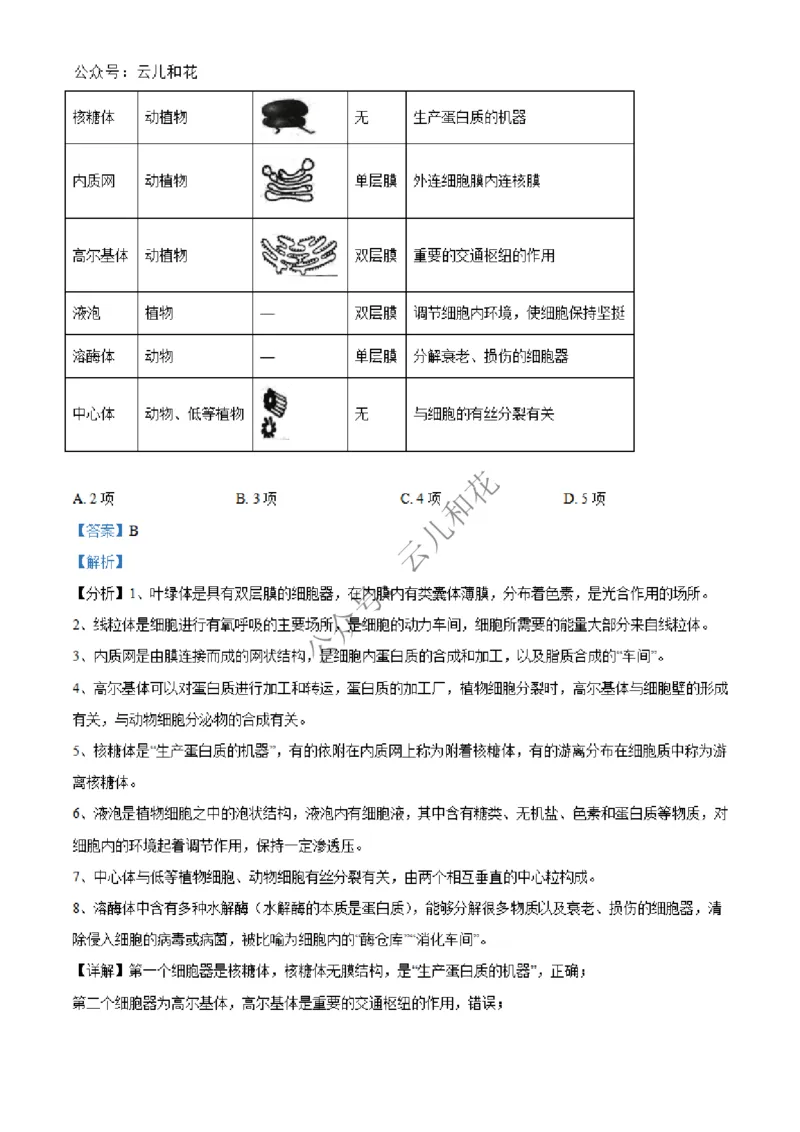 河北省沧州市四县联考2024-2025学年高一上学期11月月考生物试题Word版含解析_2024年12月试卷_1227河北省沧州四县联考2024-2025学年高一上学期11月月考