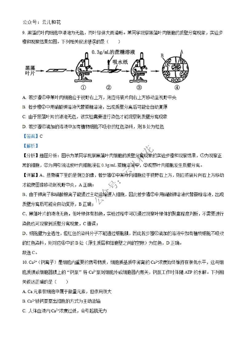 河北省沧州市四县联考2024-2025学年高一上学期11月月考生物试题Word版含解析_2024年12月试卷_1227河北省沧州四县联考2024-2025学年高一上学期11月月考