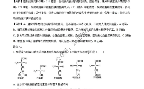 河北省沧州市四县联考2024-2025学年高一上学期11月月考生物试题Word版含解析_2024年12月试卷_1227河北省沧州四县联考2024-2025学年高一上学期11月月考