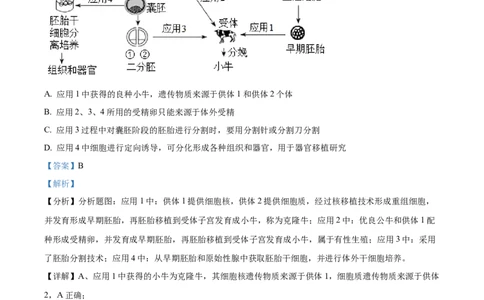 精品解析：2024届江苏省南京市高三零模考试生物试题（解析版）_生物高考模拟题_新高考_2024年_精品解析：2024届江苏省南京市高三零模考试生物试题