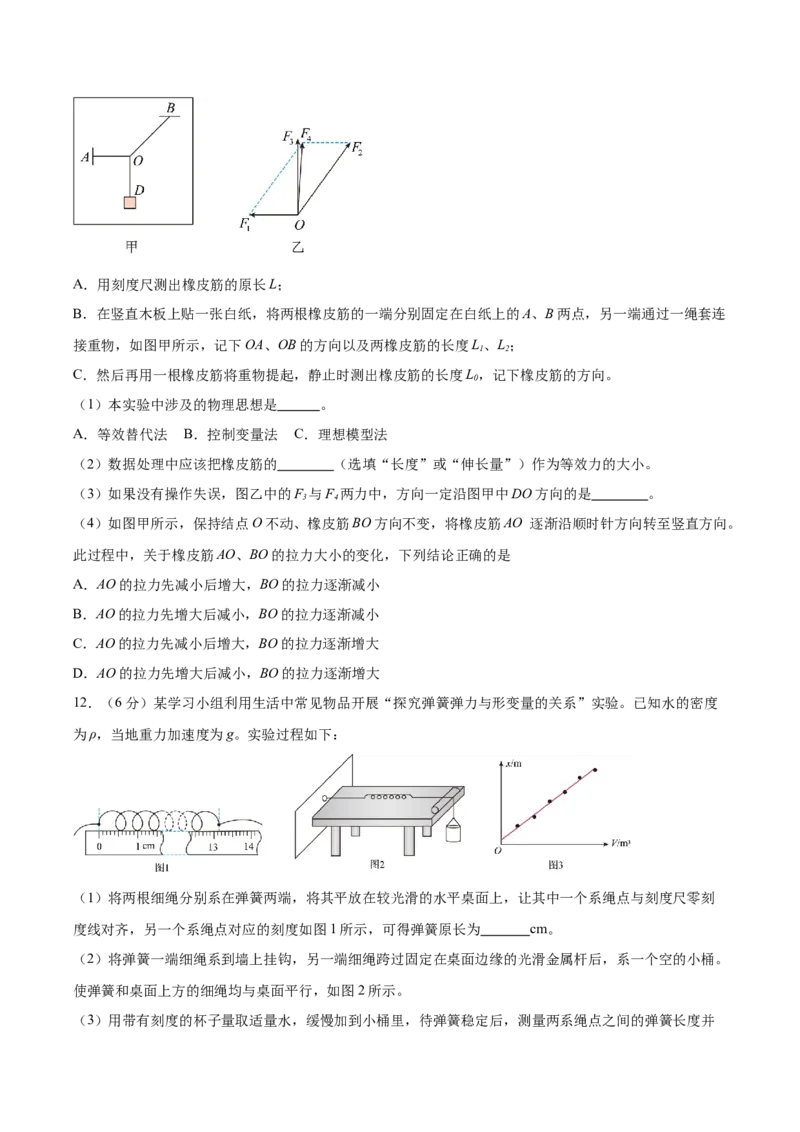河北省石家庄市第一中学2025-2026学年高一上学期期中考试物理Word版含答案_2025年11月高一试卷_251117河北省石家庄市第一中学2025-2026学年高一上学期期中考试