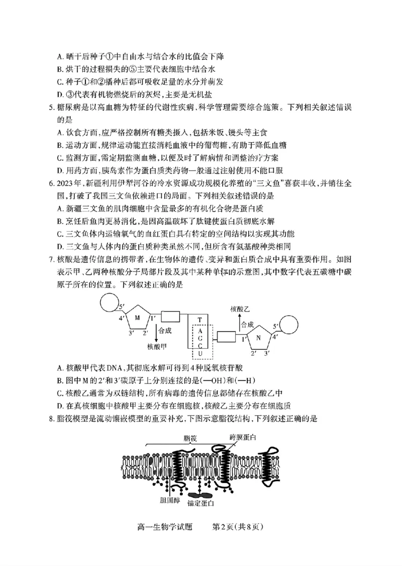 山西省部分学校2025-2026学年高一上学期高一选科调研检测暨12月月考生物试题（含答案）_2025年12月高一试卷_251219山西省2025-2026学年三重教育高一上学期12月选科调研检测（全）