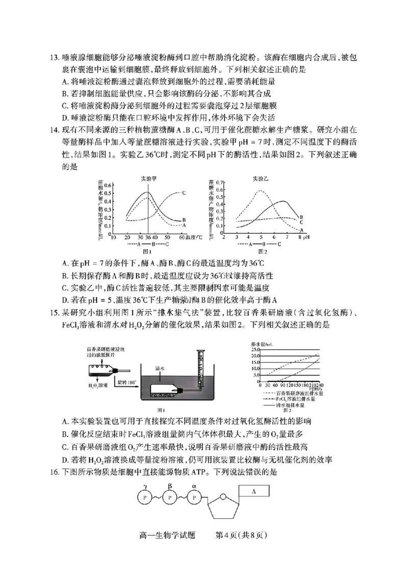 山西省部分学校2025-2026学年高一上学期高一选科调研检测暨12月月考生物试题（含答案）_2025年12月高一试卷_251219山西省2025-2026学年三重教育高一上学期12月选科调研检测（全）