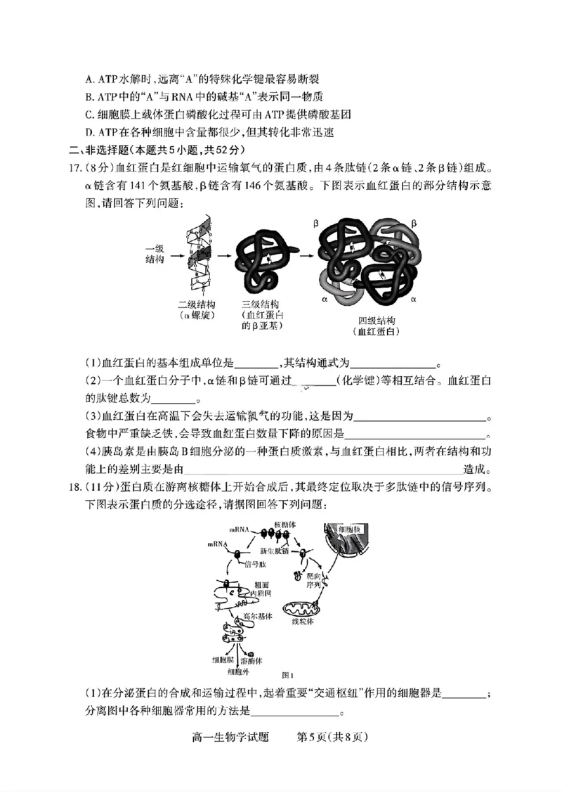 山西省部分学校2025-2026学年高一上学期高一选科调研检测暨12月月考生物试题（含答案）_2025年12月高一试卷_251219山西省2025-2026学年三重教育高一上学期12月选科调研检测（全）