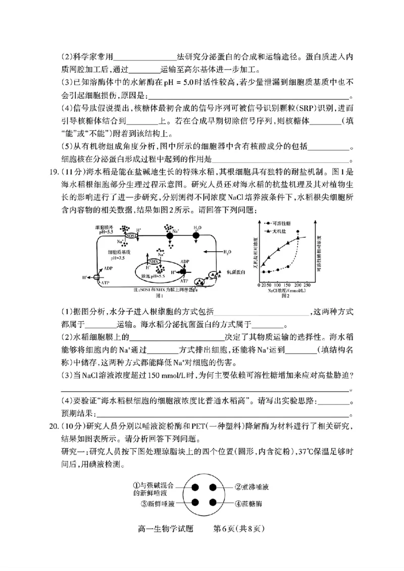 山西省部分学校2025-2026学年高一上学期高一选科调研检测暨12月月考生物试题（含答案）_2025年12月高一试卷_251219山西省2025-2026学年三重教育高一上学期12月选科调研检测（全）