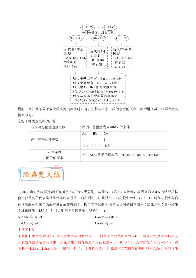 考向10基因的自由组合定律-备战2023年高考生物一轮复习考点微专题（全国通用）（解析版）_通用版（老高考）复习资料_2023年复习资料_一轮复习