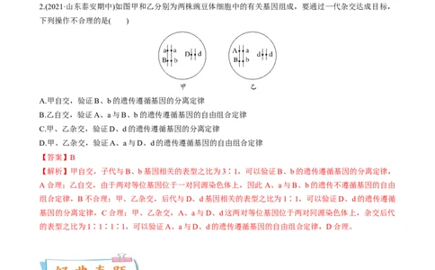 考向10基因的自由组合定律-备战2023年高考生物一轮复习考点微专题（全国通用）（解析版）_通用版（老高考）复习资料_2023年复习资料_一轮复习