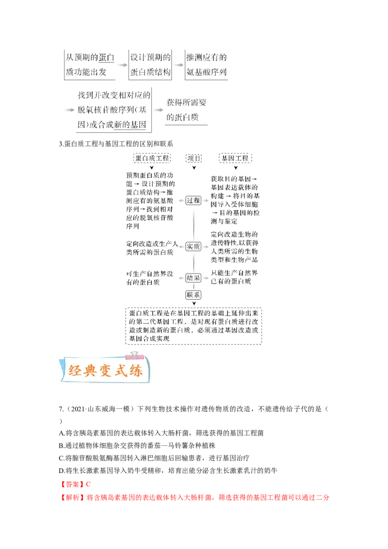 考向28基因工程及生物技术安全性与伦理问题-备战2023年高考生物一轮复习考点微专题（全国通用）（解析版）_通用版（老高考）复习资料_2023年复习资料_一轮复习