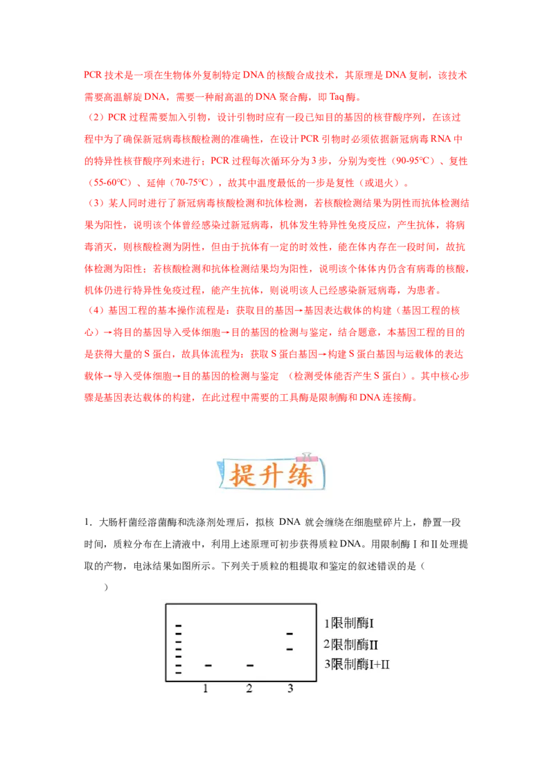 考向28基因工程及生物技术安全性与伦理问题-备战2023年高考生物一轮复习考点微专题（全国通用）（解析版）_通用版（老高考）复习资料_2023年复习资料_一轮复习