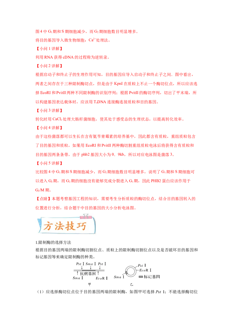 考向28基因工程及生物技术安全性与伦理问题-备战2023年高考生物一轮复习考点微专题（全国通用）（解析版）_通用版（老高考）复习资料_2023年复习资料_一轮复习