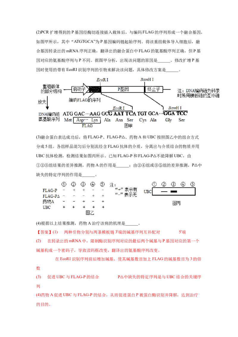 考向28基因工程及生物技术安全性与伦理问题-备战2023年高考生物一轮复习考点微专题（全国通用）（解析版）_通用版（老高考）复习资料_2023年复习资料_一轮复习