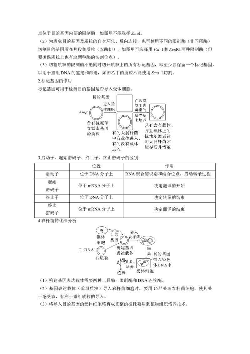 考向28基因工程及生物技术安全性与伦理问题-备战2023年高考生物一轮复习考点微专题（全国通用）（解析版）_通用版（老高考）复习资料_2023年复习资料_一轮复习
