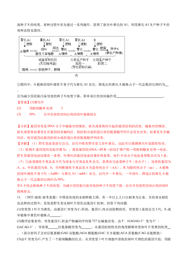 第22讲生物的变异（第一课时，基因突变和基因重组）（练习）（解析版）_2025年新高考资料_一轮复习_2025年高考生物一轮复习讲练测（新教材新高考）