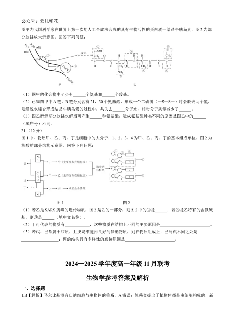 广东省衡水金卷2024-2025学年高一上学期11月联考生物试题_2024年11月试卷_1108广东省衡水金卷2024-2025学年高一上学期11月联考_广东省衡水金卷2024-2025学年高一上学期11月联考生物试题
