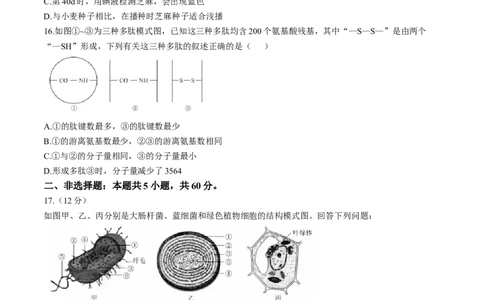 广东省衡水金卷2024-2025学年高一上学期11月联考生物试题_2024年11月试卷_1108广东省衡水金卷2024-2025学年高一上学期11月联考_广东省衡水金卷2024-2025学年高一上学期11月联考生物试题