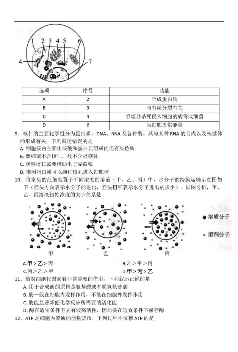 河北省邢台市卓越联盟2025-2026学年高一上学期12月期中生物试题（含答案）_2025年12月高一试卷_251209河北省邢台市卓越联盟2025-2026学年高一上学期12月期中（全）