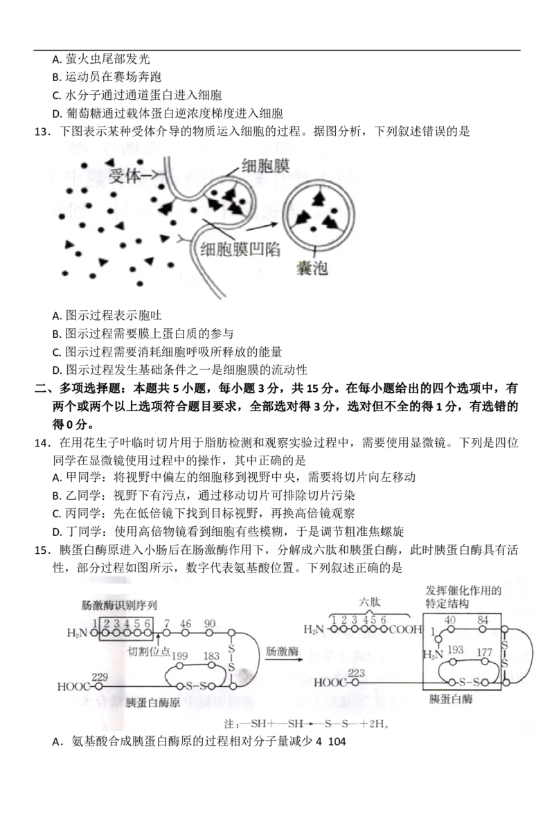 河北省邢台市卓越联盟2025-2026学年高一上学期12月期中生物试题（含答案）_2025年12月高一试卷_251209河北省邢台市卓越联盟2025-2026学年高一上学期12月期中（全）
