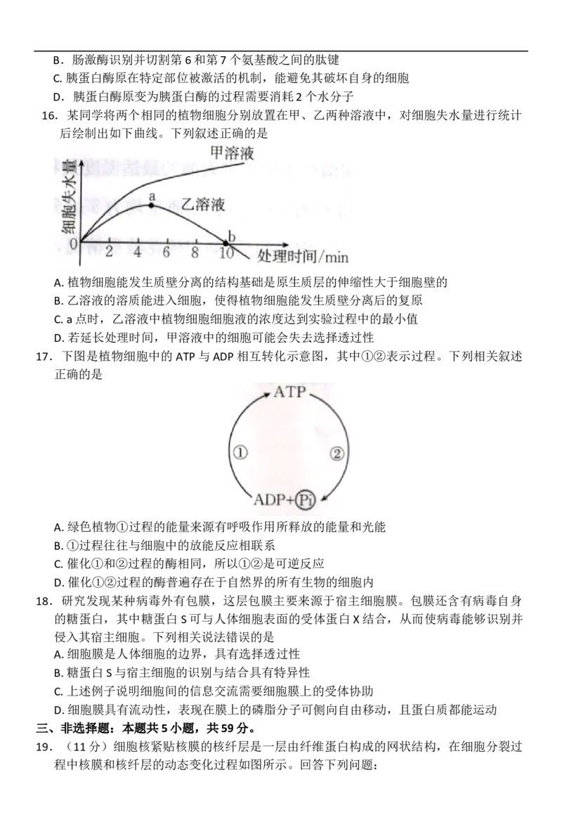 河北省邢台市卓越联盟2025-2026学年高一上学期12月期中生物试题（含答案）_2025年12月高一试卷_251209河北省邢台市卓越联盟2025-2026学年高一上学期12月期中（全）
