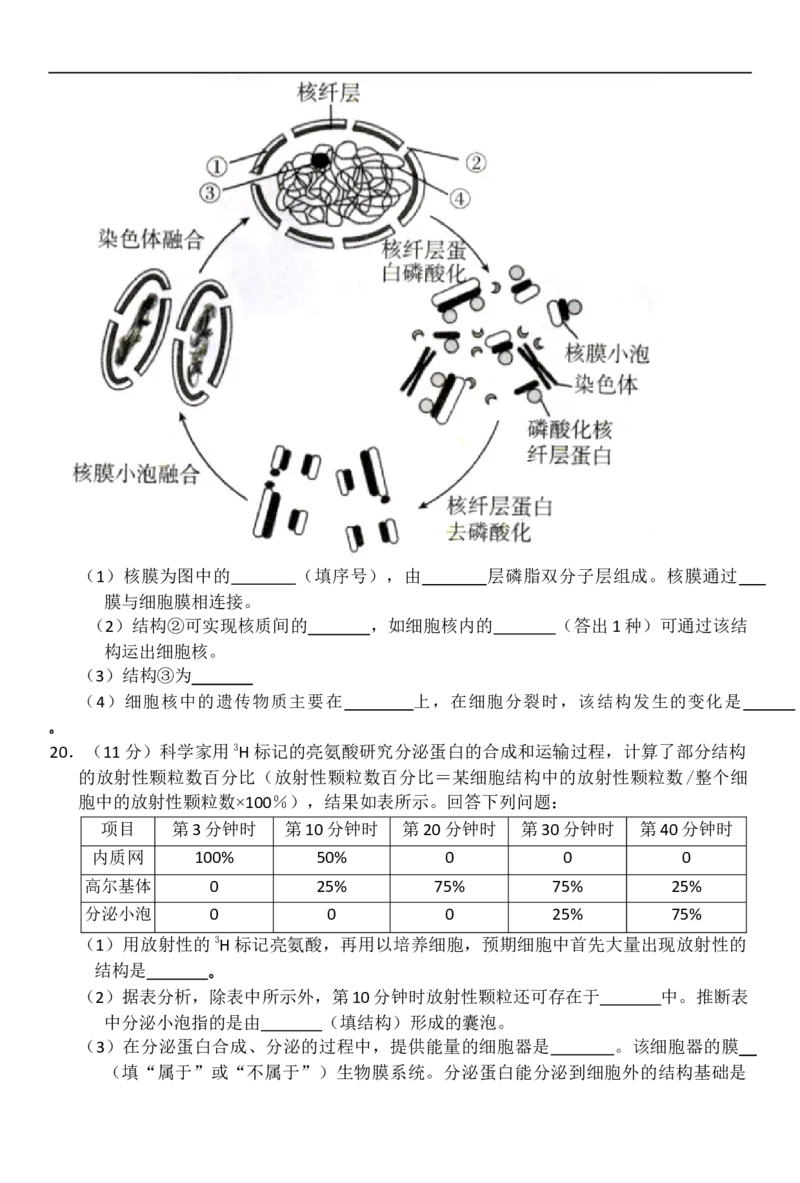 河北省邢台市卓越联盟2025-2026学年高一上学期12月期中生物试题（含答案）_2025年12月高一试卷_251209河北省邢台市卓越联盟2025-2026学年高一上学期12月期中（全）