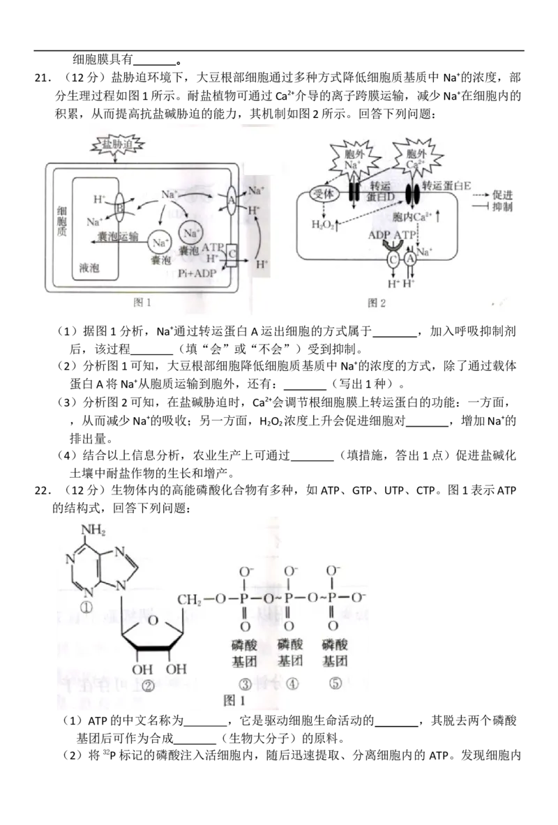 河北省邢台市卓越联盟2025-2026学年高一上学期12月期中生物试题（含答案）_2025年12月高一试卷_251209河北省邢台市卓越联盟2025-2026学年高一上学期12月期中（全）