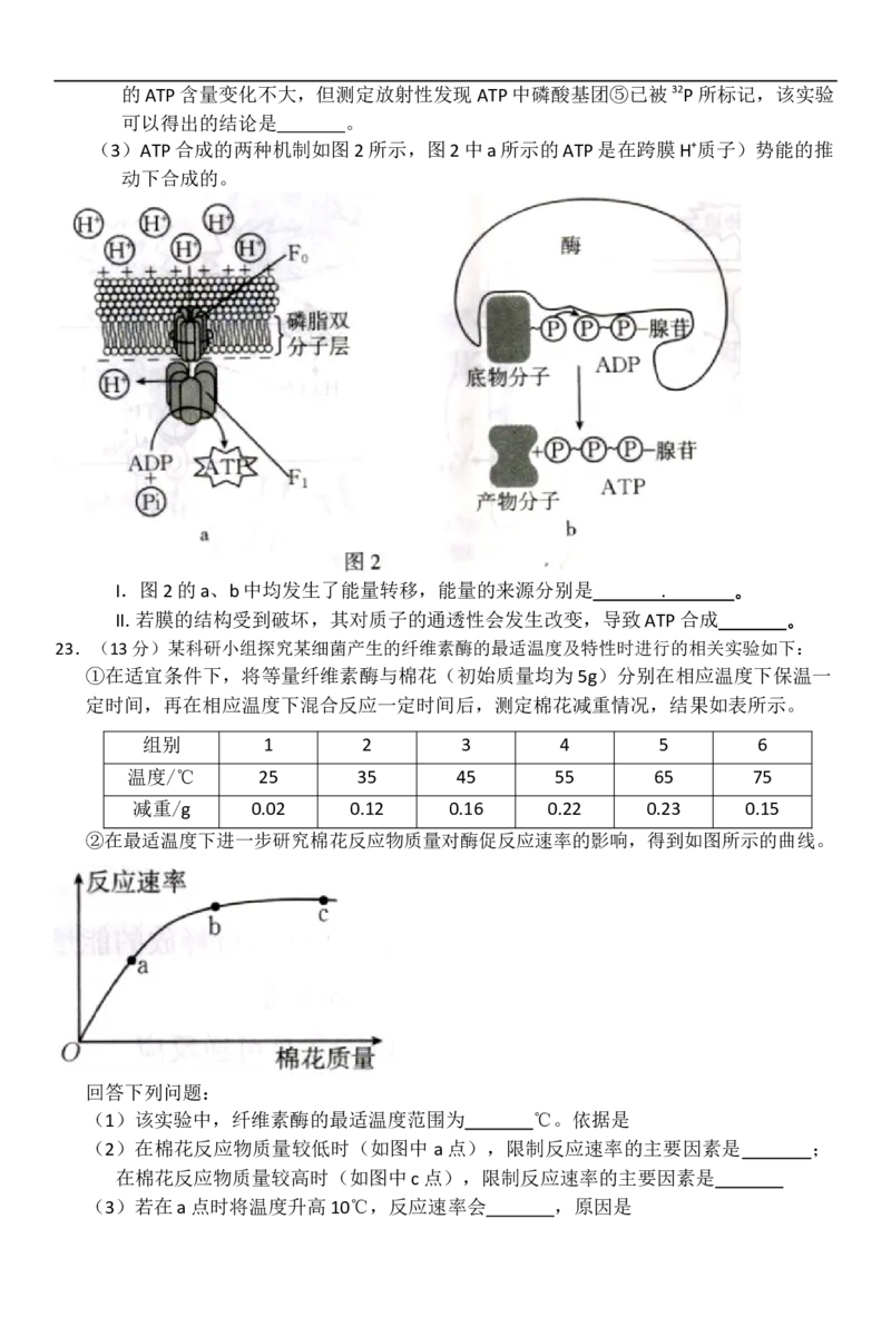 河北省邢台市卓越联盟2025-2026学年高一上学期12月期中生物试题（含答案）_2025年12月高一试卷_251209河北省邢台市卓越联盟2025-2026学年高一上学期12月期中（全）