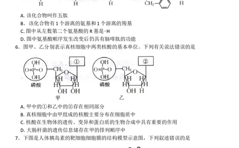 河北省邢台市卓越联盟2025-2026学年高一上学期12月期中生物试题（含答案）_2025年12月高一试卷_251209河北省邢台市卓越联盟2025-2026学年高一上学期12月期中（全）