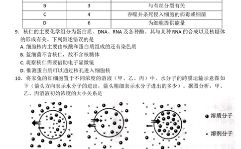 河北省邢台市卓越联盟2025-2026学年高一上学期12月期中生物试题（含答案）_2025年12月高一试卷_251209河北省邢台市卓越联盟2025-2026学年高一上学期12月期中（全）