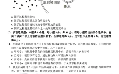 河北省邢台市卓越联盟2025-2026学年高一上学期12月期中生物试题（含答案）_2025年12月高一试卷_251209河北省邢台市卓越联盟2025-2026学年高一上学期12月期中（全）