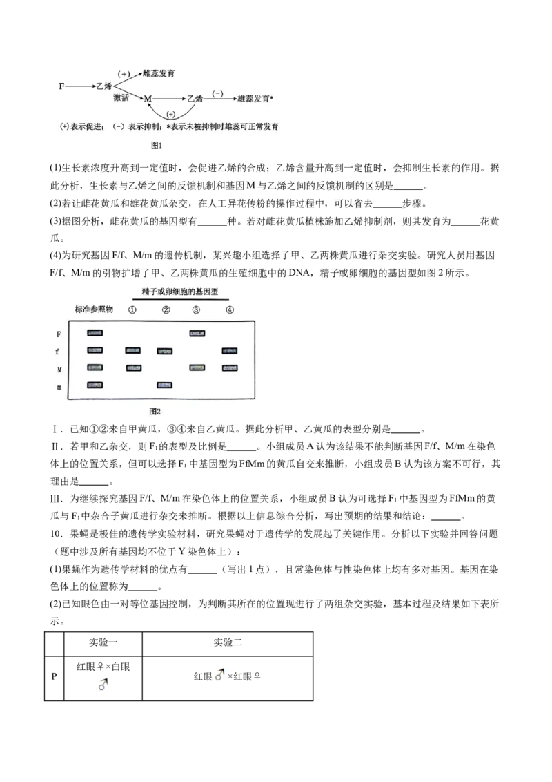 第16讲自由组合定律（第一课时）（练习）（原卷版）_2025年新高考资料_一轮复习_2025年高考生物一轮复习讲练测（新教材新高考）