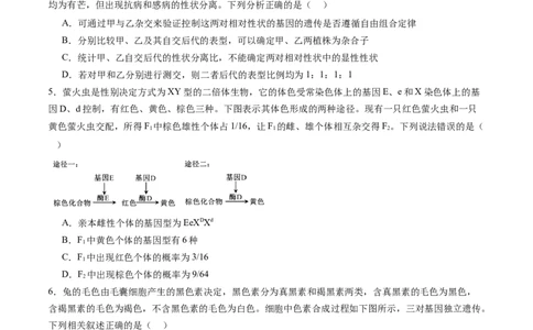 第16讲自由组合定律（第一课时）（练习）（原卷版）_2025年新高考资料_一轮复习_2025年高考生物一轮复习讲练测（新教材新高考）